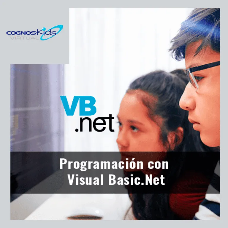 Programación con Visual Basic.Net