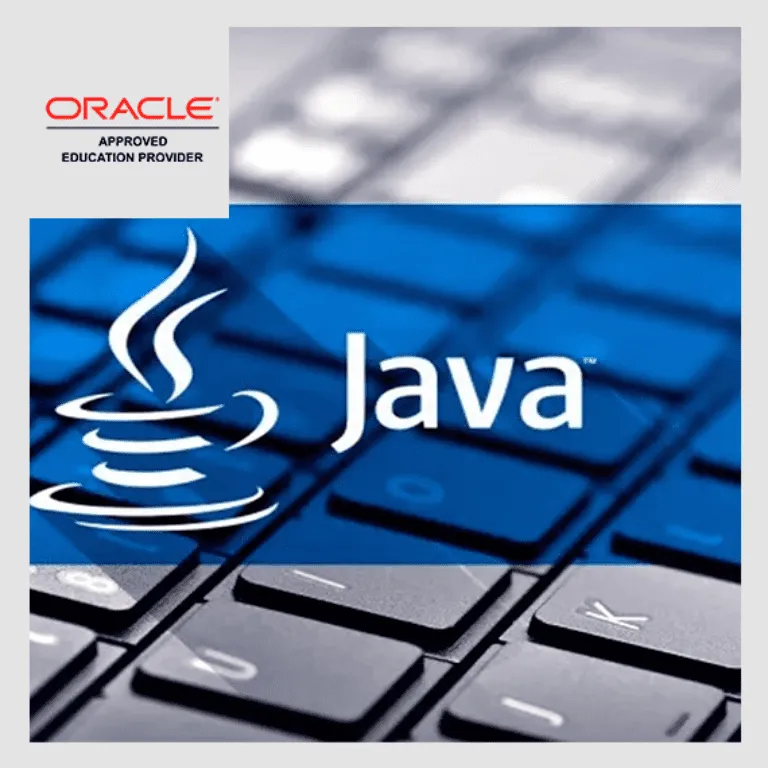 JAV-804 - Java SE 11: Programación Completa (Java SE 11: Programming Complete)