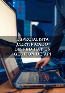 Especialista en gestión de API