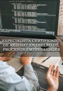 Especialista en diseño de procesos empresariales