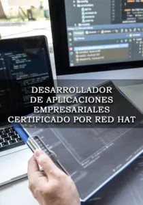 Desarrollador de aplicaciones empresariales