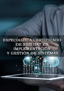 Especialista en implementación y gestión de sistemas