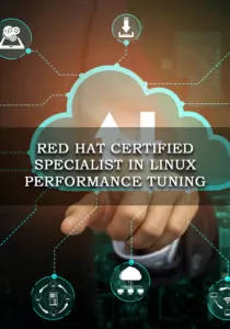 Specialist in Linux Performance Tuning